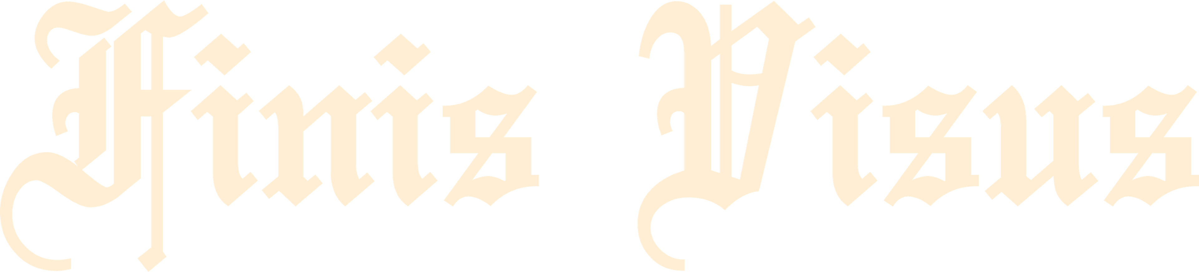 Finis Visus Logo