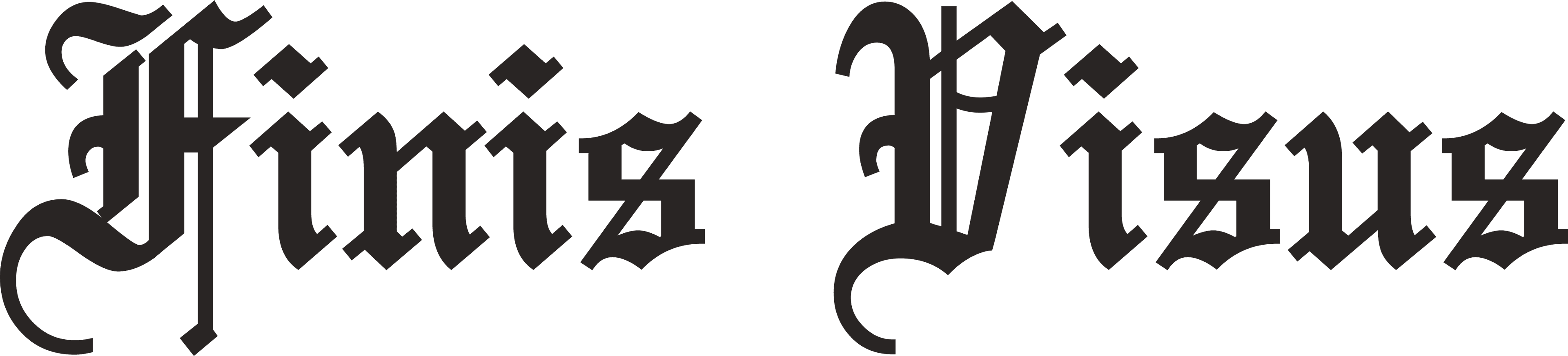 Finis Visus Logo